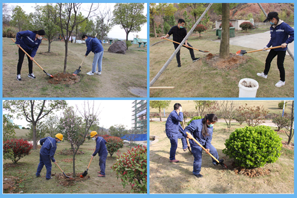 1584238852759482.jpg 3.jpg