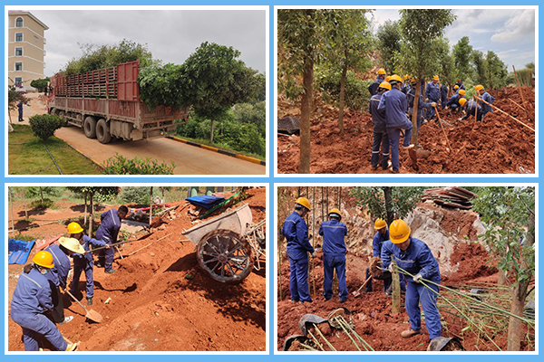 1599118317573674.jpg 1.jpg