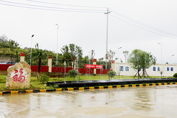 1602222746910090.jpg 5.jpg