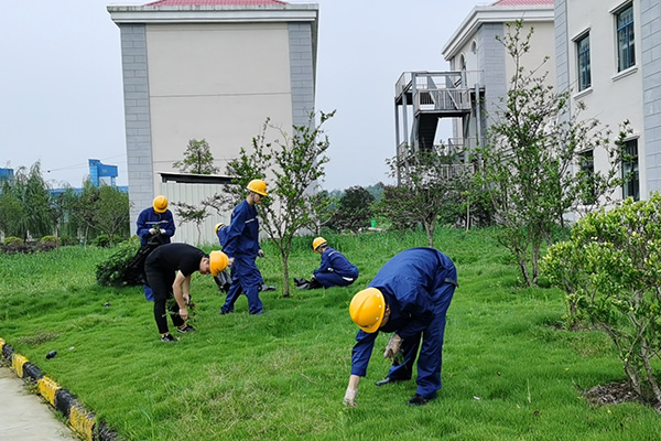 1602223360218520.jpg 06.jpg