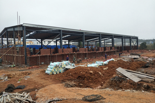 1607993959362072.jpg 5.jpg