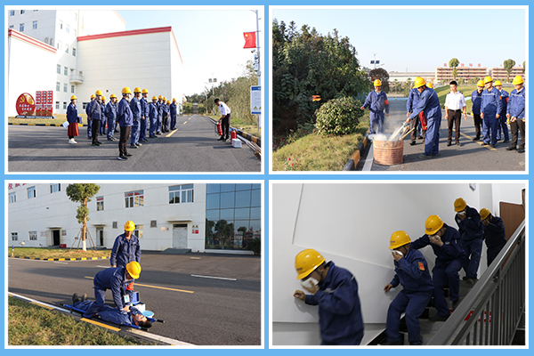 1608082856499831.jpg P圖-四框.jpg