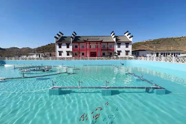 1612138778381236.jpg 9e6a1b09f23c304a17b619b4b0ceb34.jpg