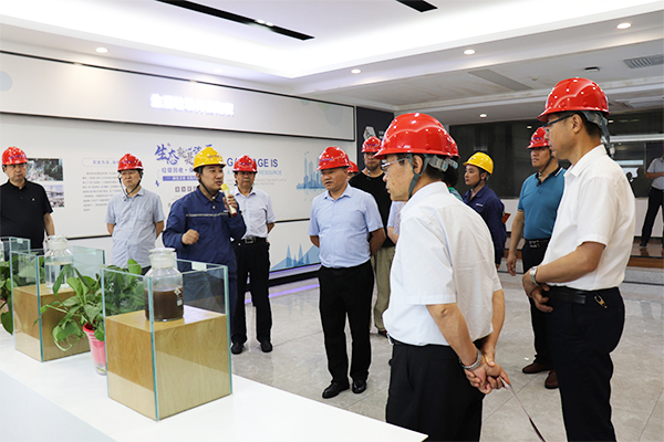 1624265056545204.jpg 2.JPG