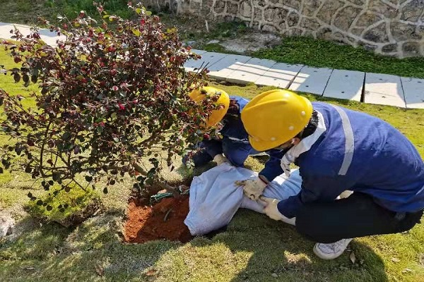 1647345653814716.png 圖片1.png