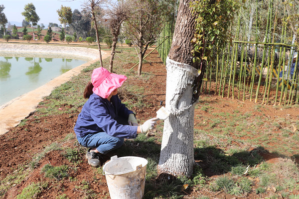 1648774183691679.png 圖片2.png