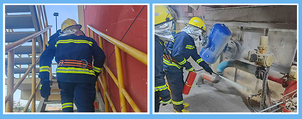 1736731055343789.jpg 2.jpg