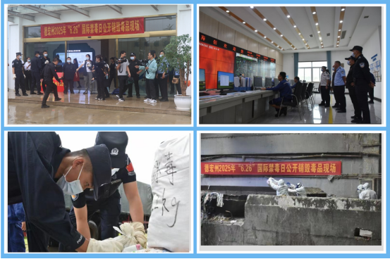 1764817760255424.jpg 四合一.jpg